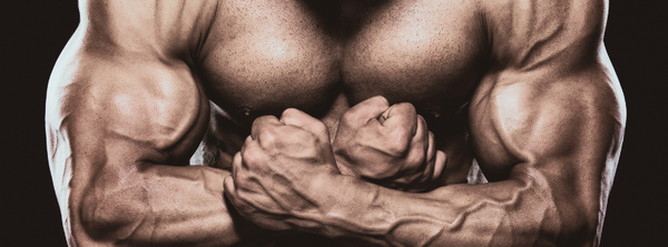 Kreatin während der Diät - Alles, was du wissen musst