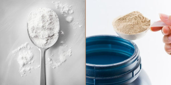 Kreatin oder Protein? Oder besser beides?