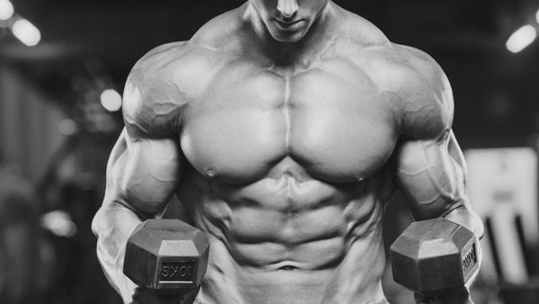 Omega-3 in Bodybuilding