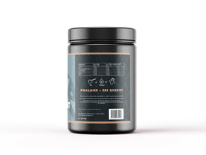 Phalanx Spartan Performance Stack: EAA + Kreatin + Magnesium